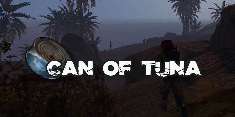 Rust: 10 Best Food Items