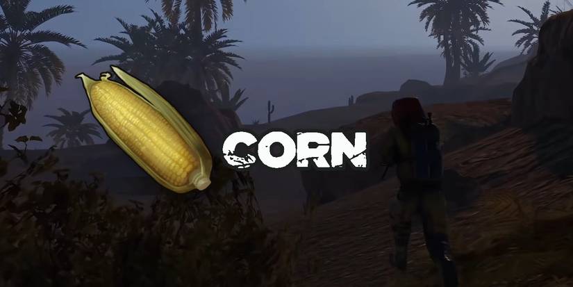 Food In Rust Rust: 10 Best Food Items