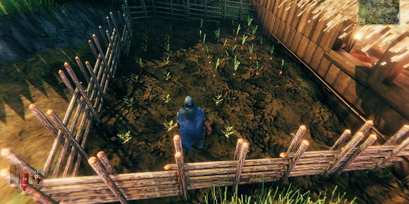 Tips For Creating The Best Farm In Valheim