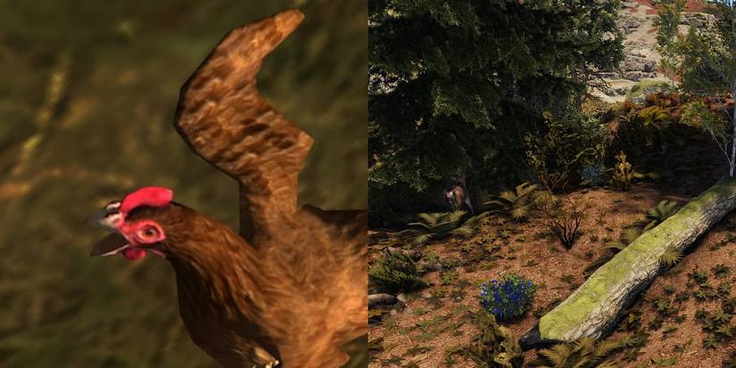 Fried Rust Rust: A Guide For Beginners Who Have No Idea How To Survive