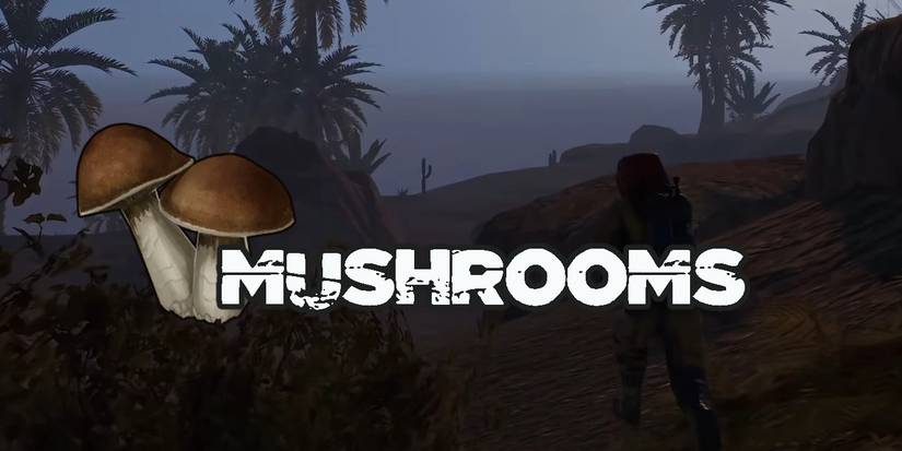 Rust: 10 Best Food Items