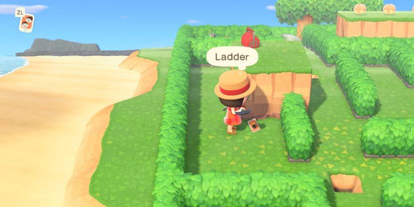 How To Solve Rover's 2021 May Day Maze In Animal Crossing: New Horizons