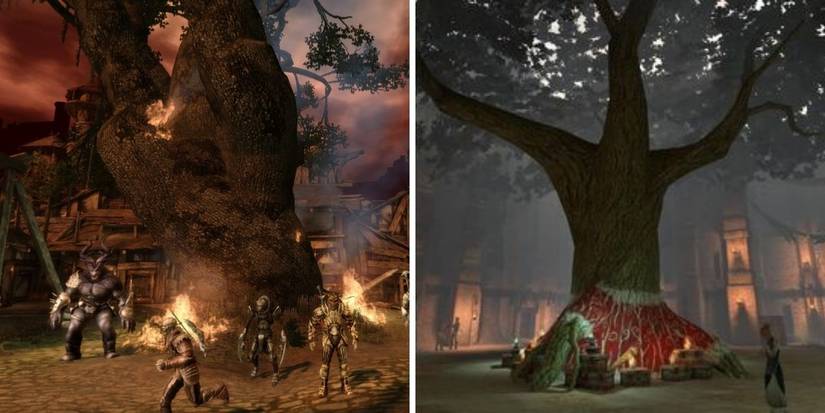 Alienage Rochester Dragon Age: Dalish Elves Vs. City Elves