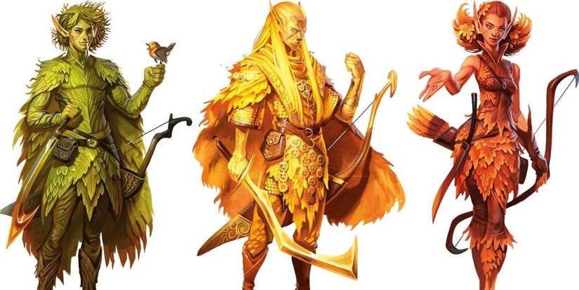 Dungeons & Dragons: Every Race Buff You Need To Know About In Monsters Of  The Multiverse