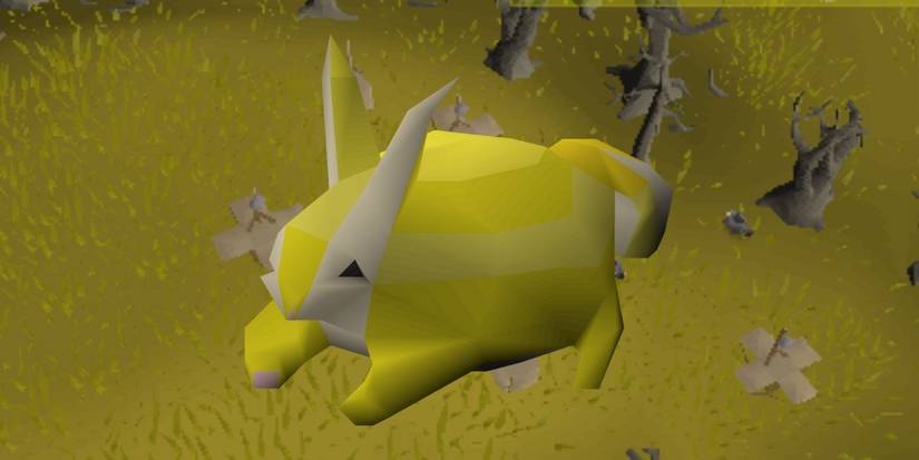 Old School RuneScape: The 10 Rarest Pets To Obtain