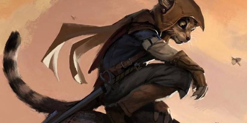 Hooded tabaxi traveller at sunset via filmgoblin.com