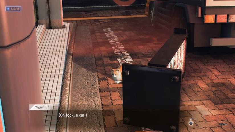 The cat behind the sign in justice.