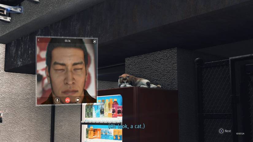 Judgment: Every Stray Cat Location