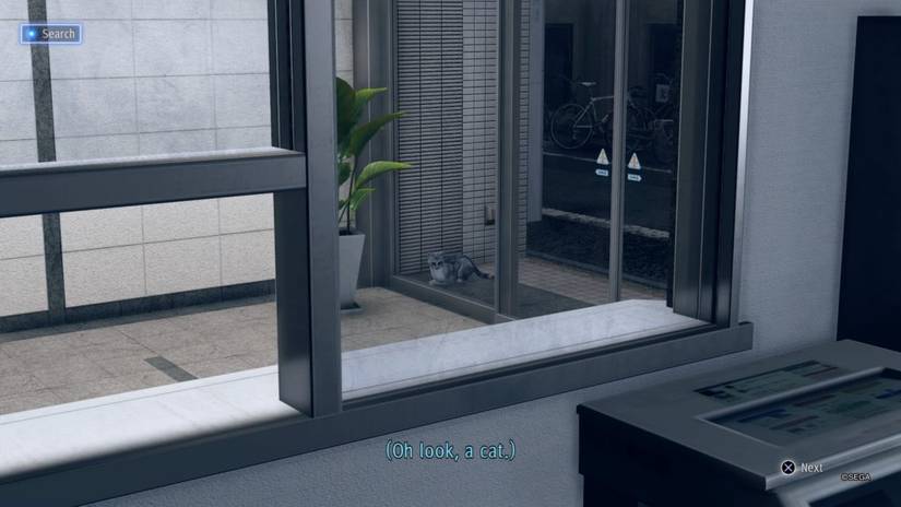 Judgment: Every Stray Cat Location