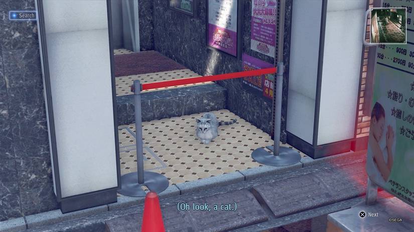Judgment: Every Stray Cat Location