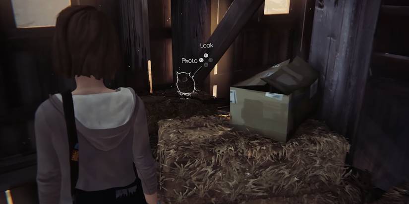 Life Is Strange: How To Get Every Optional Photo