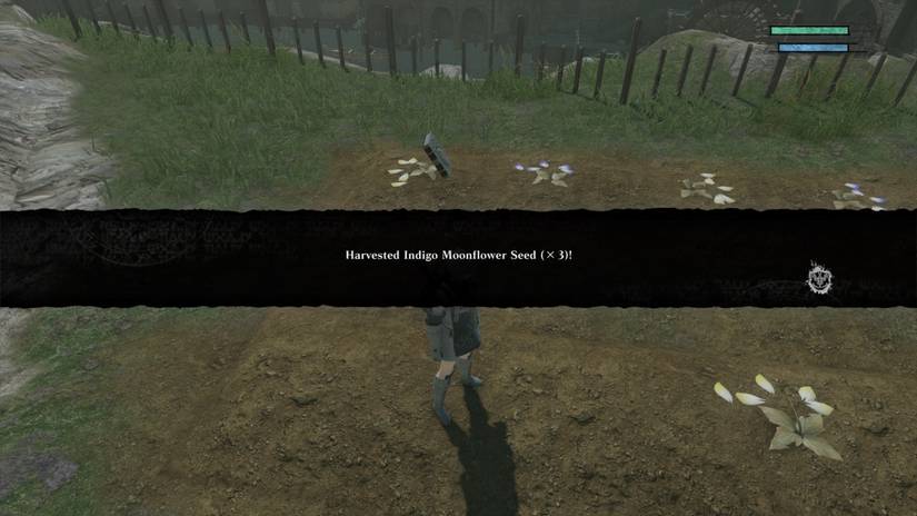 How To Grow The White Moonflower Legendary Flower In Nier Replicant how-to-grow-the-white-moonflower-legendary-flower-in-nier-replicant