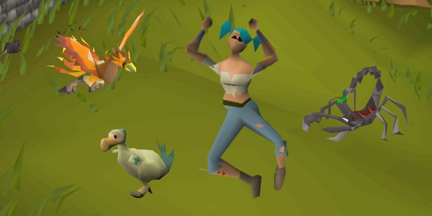 Old School Runescape The 10 Easiest Pets To Obtain Thegamer