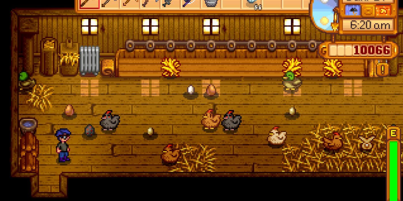 Stardew Valley курятник на ферме