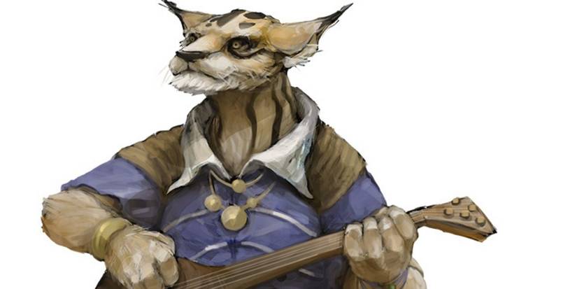 Tabaxi playing an instrument via forgottenrealms.fandom.com