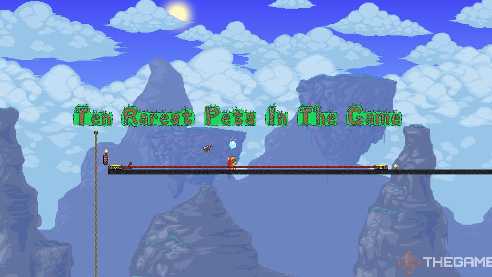 Rarest Pets In Terraria
