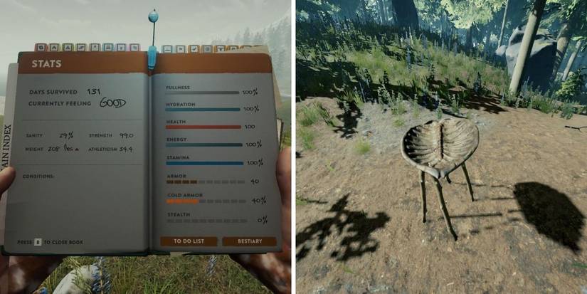 Forest Guide The Forest: Beginner Tips For Survival