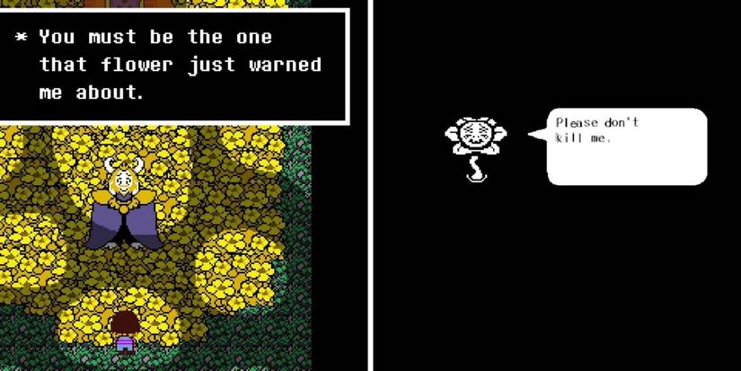 Undertale: Differences In Flowey Interactions Between Pacifist And ...