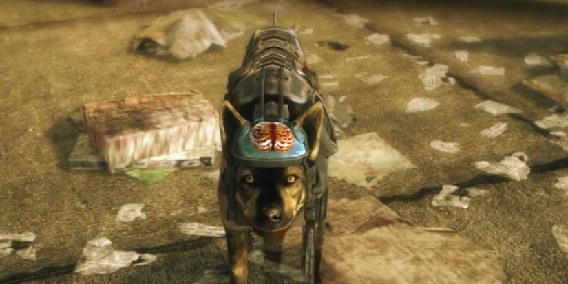 Fallout New Vegas: The Best Follower For Each Type Of Build