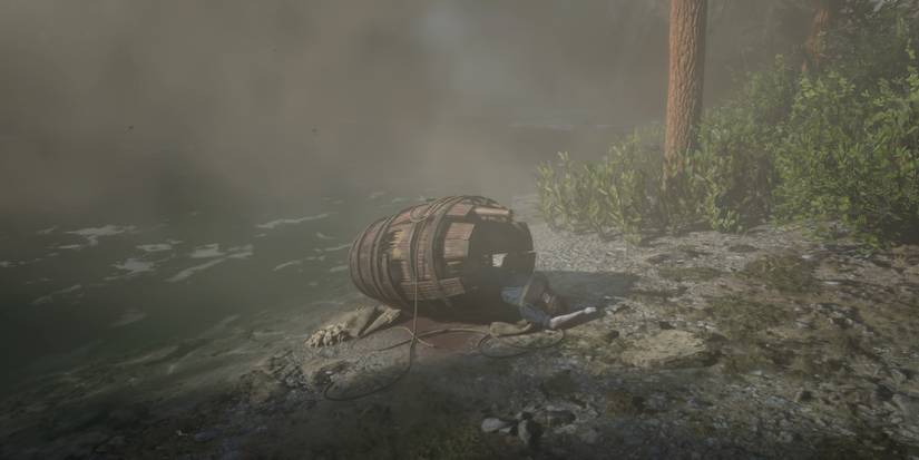 Red Dead Redemption 2: 10 Best Locations In Ambarino