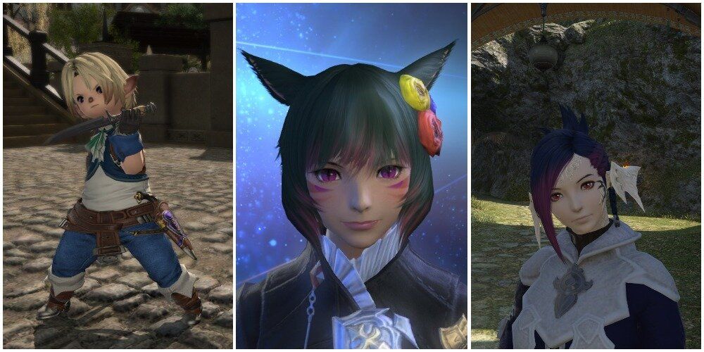 Split images of lalafell, miq'ote, and au ra with scion hairstyles.