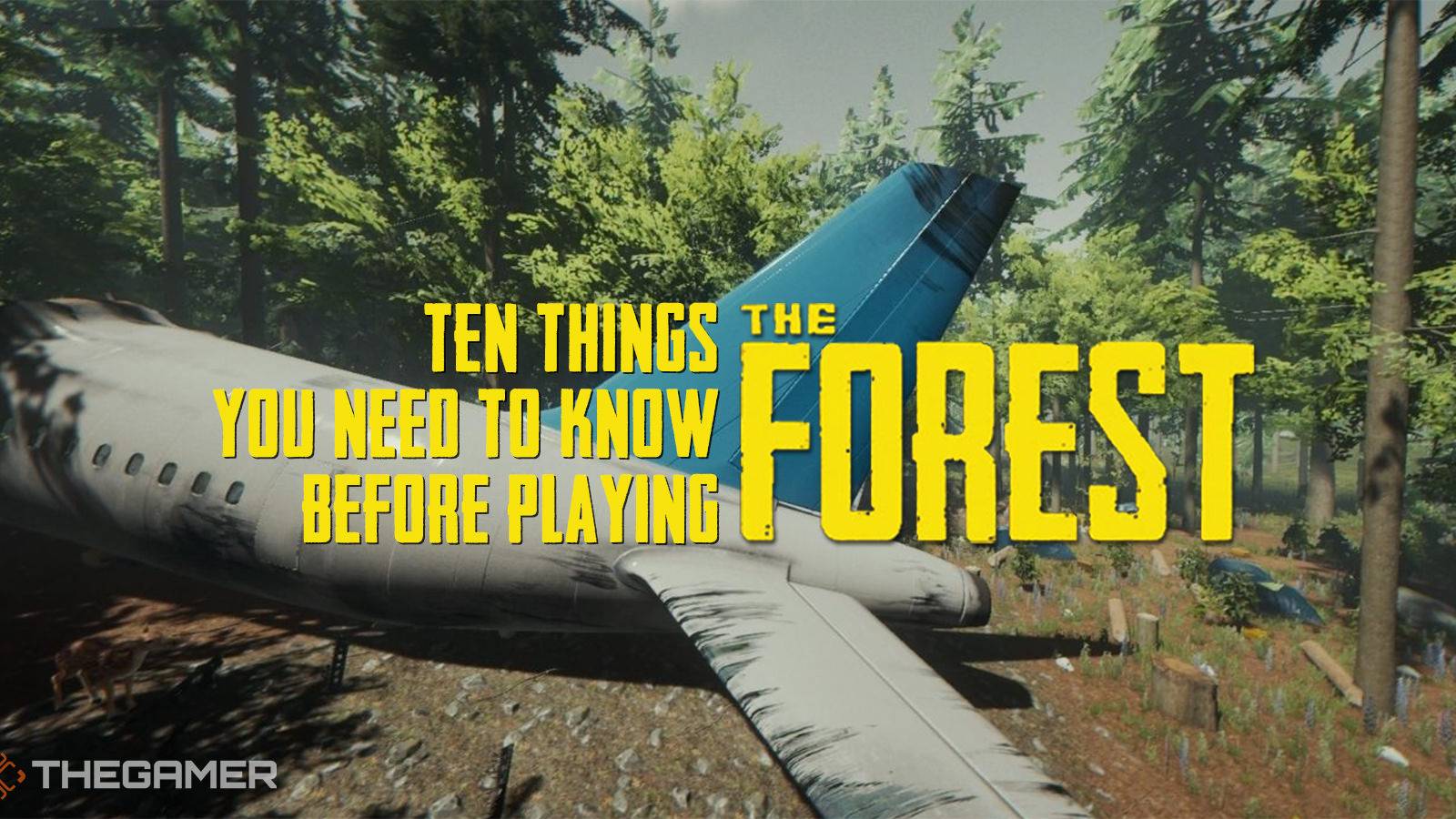 Forest Guide The Forest: Beginner Tips For Survival