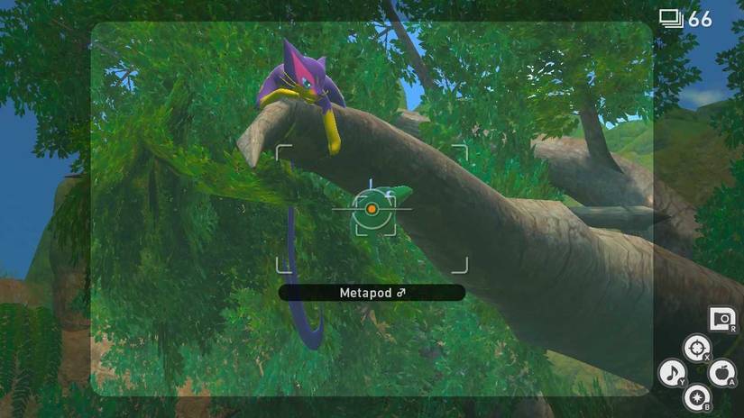 New Pokemon Snap: Dangling Metapod Guide
