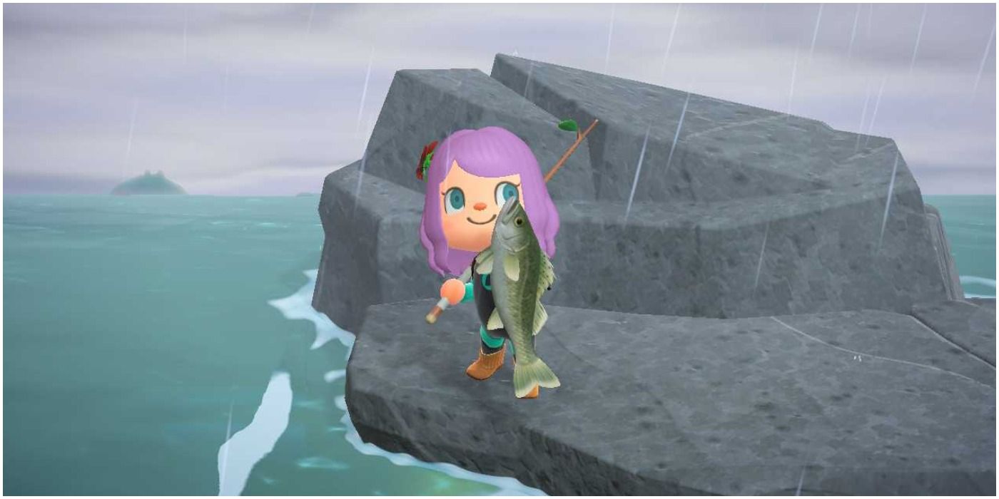 Animal Crossing New Horizons Mystery Tour Island Fishing Sea Bass