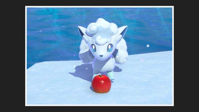 We Let Professional Nature Photographers Rate And Roast Our New Pokemon ...