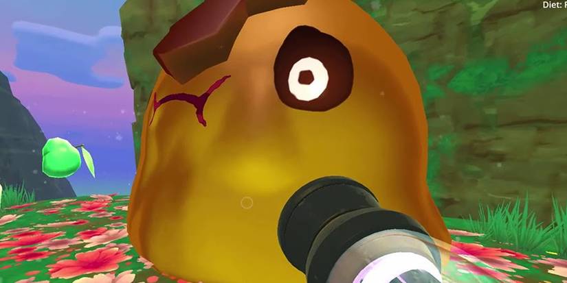 Slime Rancher: 10 Tips For Speedrunning
