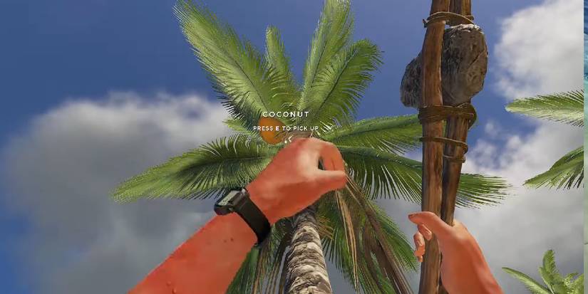 Stranded Deep Tips For Beginners