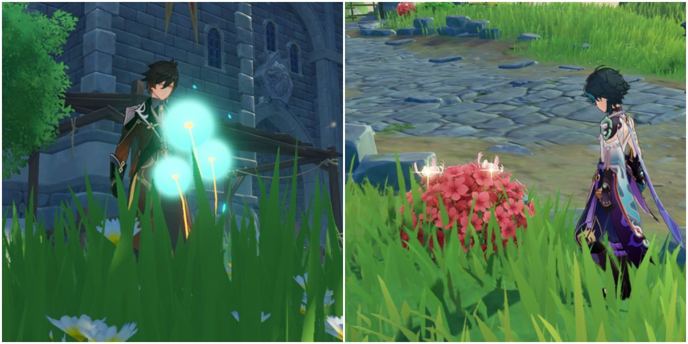 Genshin Impact: The 10 Best Plants To Forage