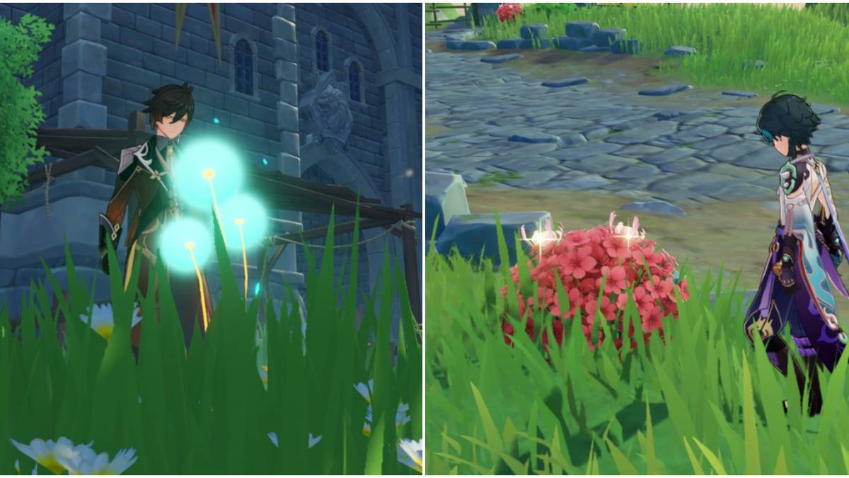 Genshin Impact: The 10 Best Plants To Forage