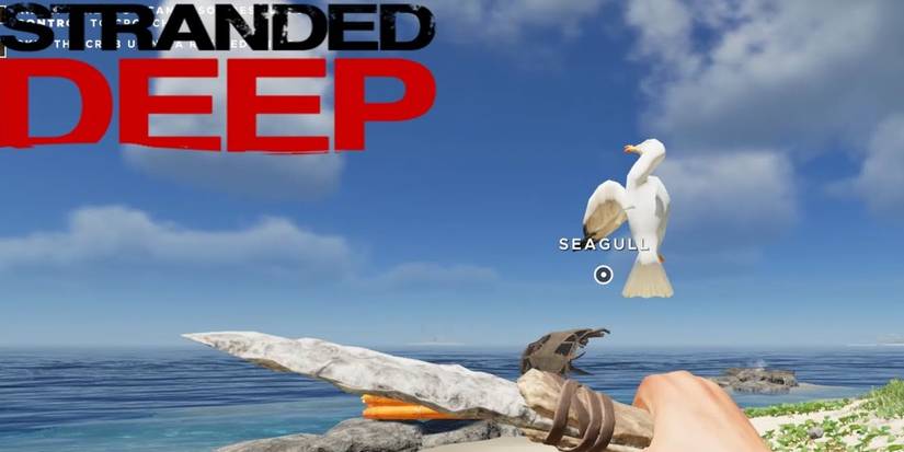 Stranded Deep: How To Catch Seagulls And Bats