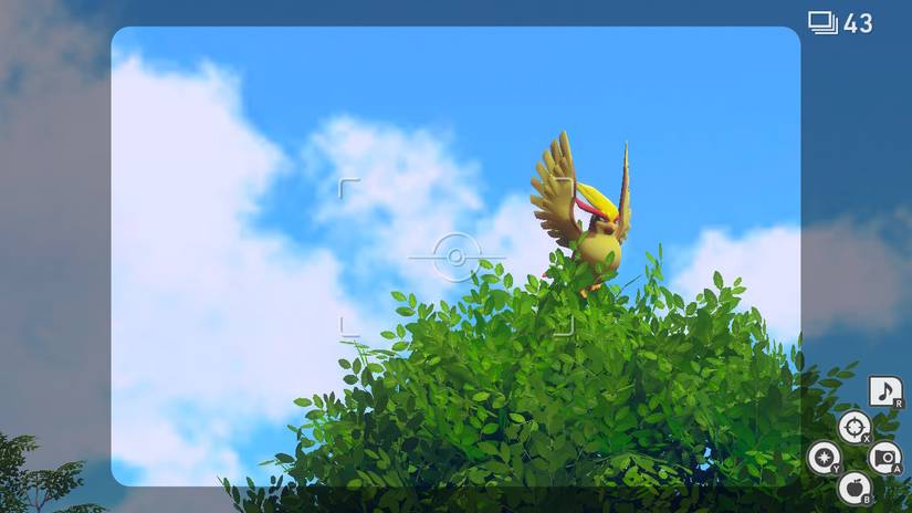New Pokemon Snap: Flopping By The Water Request Guide