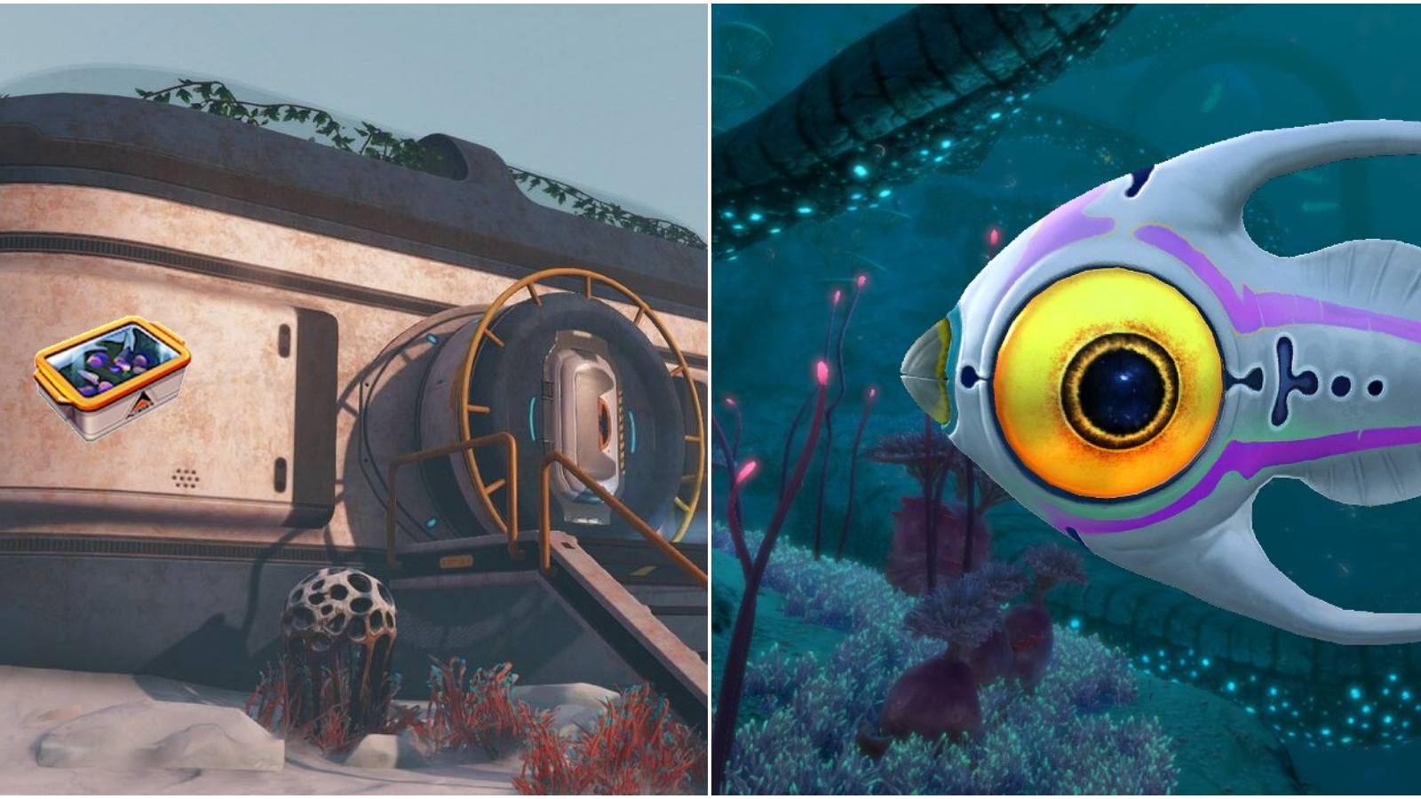 Subnautica: Below Zero - Best Food In The Game