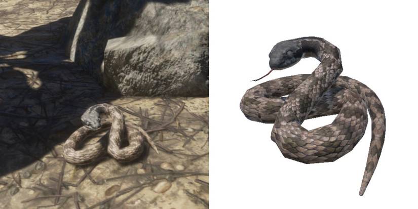 Stranded Deep: All Land Creatures