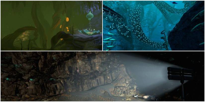 multiple biomes in subnautic below zero