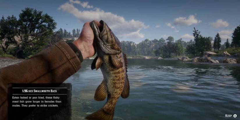 bass lure house of the dead 2 Sardine and rivers throughout diverse fishing environments. RDR2 Special Lure Locations -