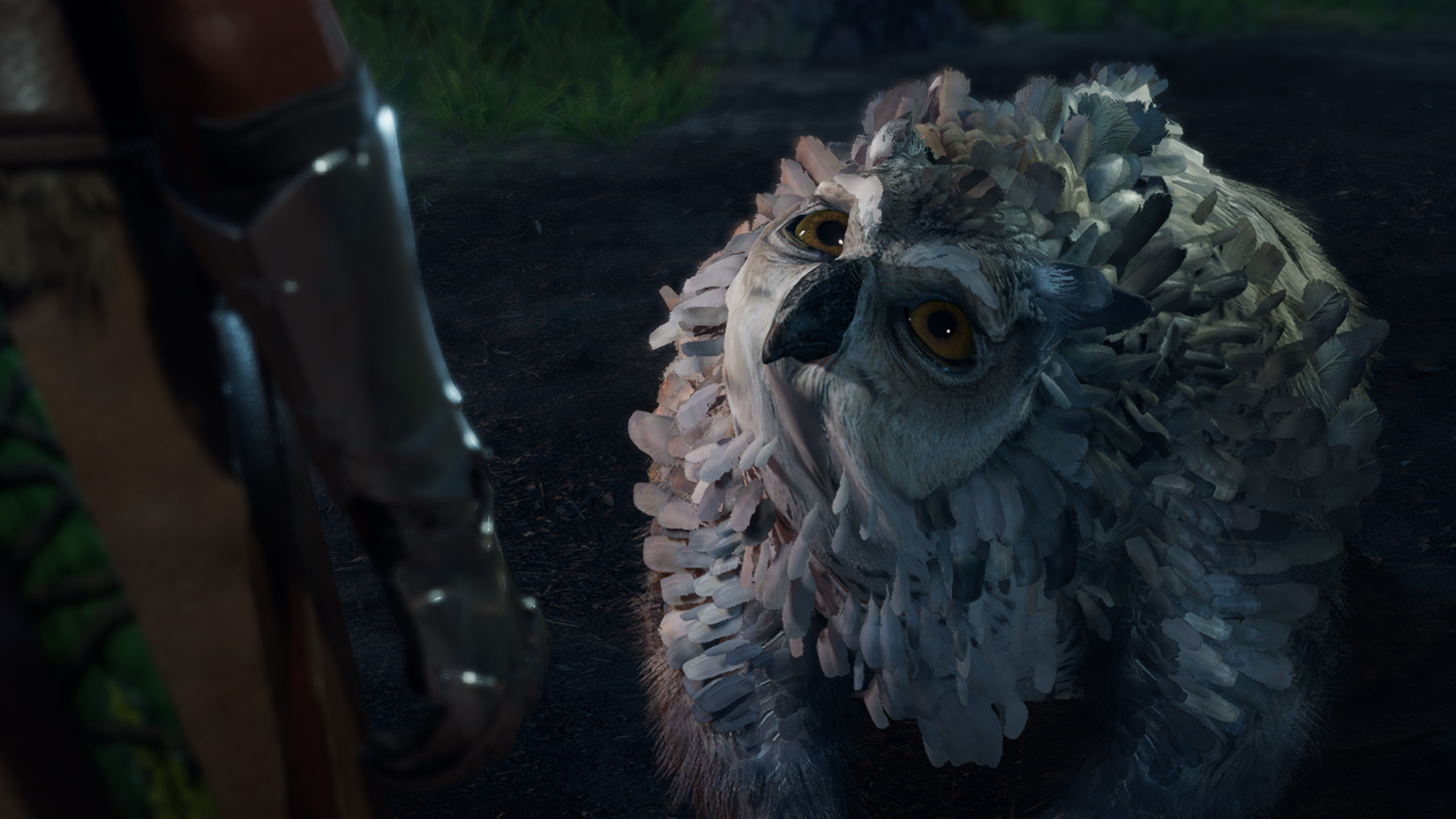 Baldur's Gate 3 Owlbear Cub Cute