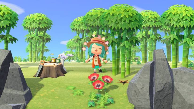 An example of a bamboo island in Animal Crossing New Horizons with bamboo trees and a happy villager