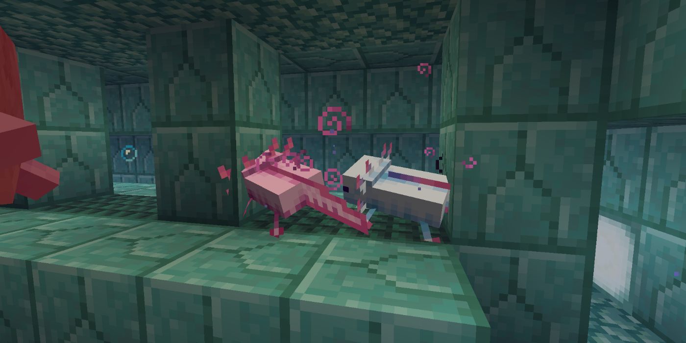 Minecraft Axolotls Playing Dead
