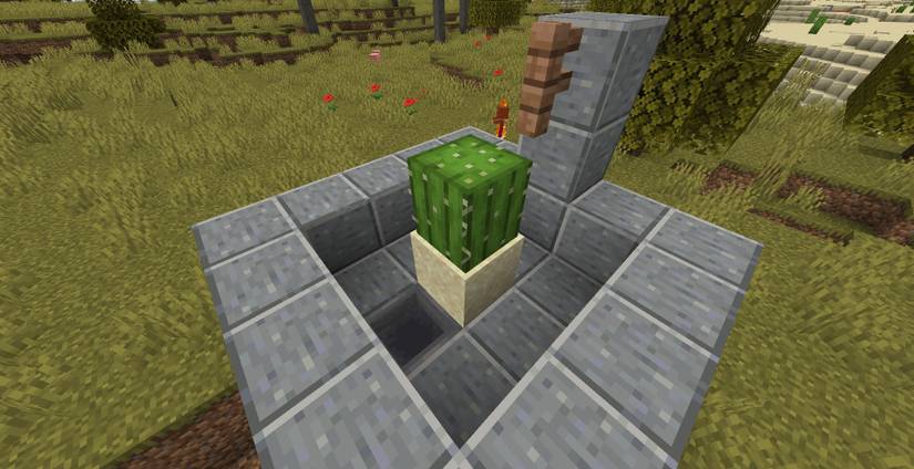 Minecraft: How To Make A Bonemeal Farm