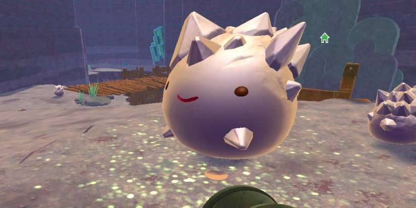 Slime Rancher: What Do You Do With Glass Desert Flowers?