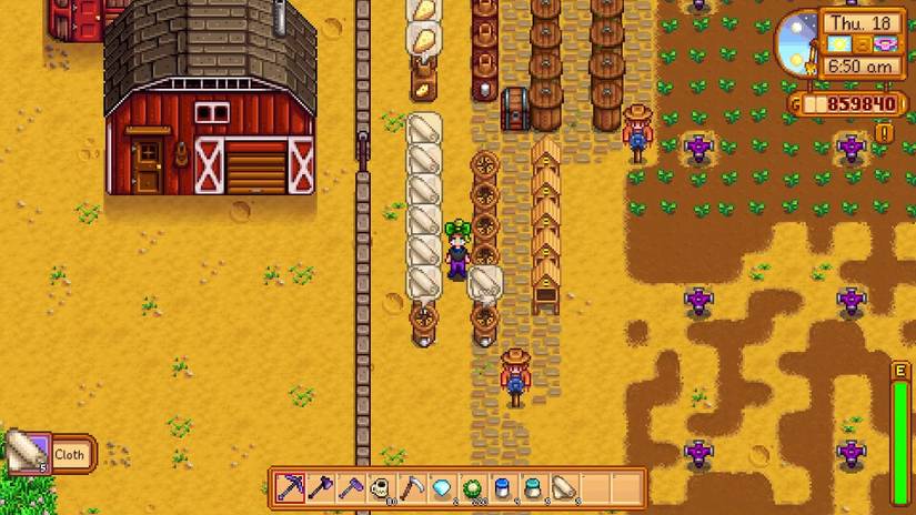 stardew valley - looms producing cloth on farmland