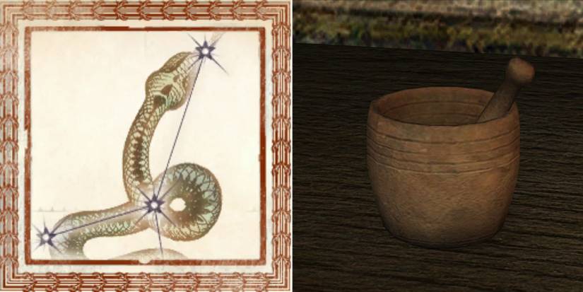 The Best Birthsigns In Oblivion Remastered, Ranked