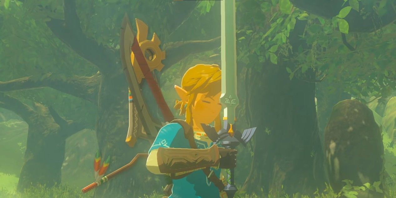 breath of the wild how many heart containers for master sword