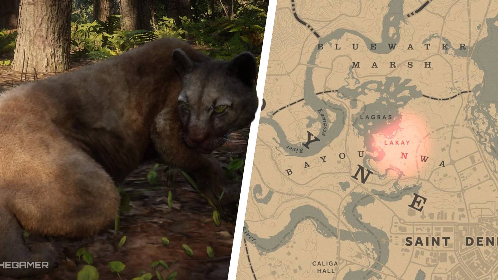 Red Dead Online: Best Locations To Hunt Panther