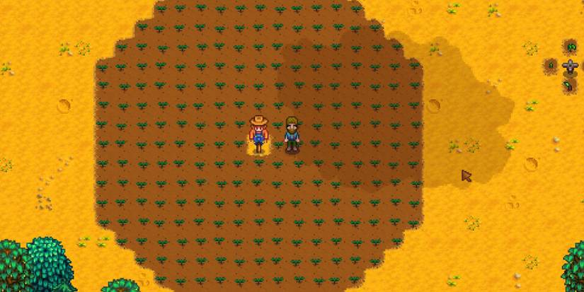 Stardew Valley Scarecrow Range