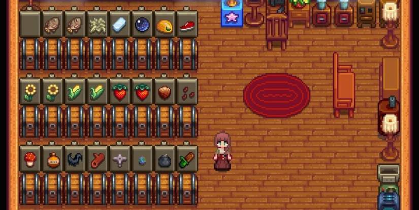 Stardew-Valley-Storage-Area in shed. 